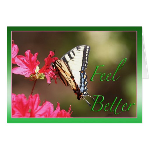 Feel Better Butterfly Card Zazzle