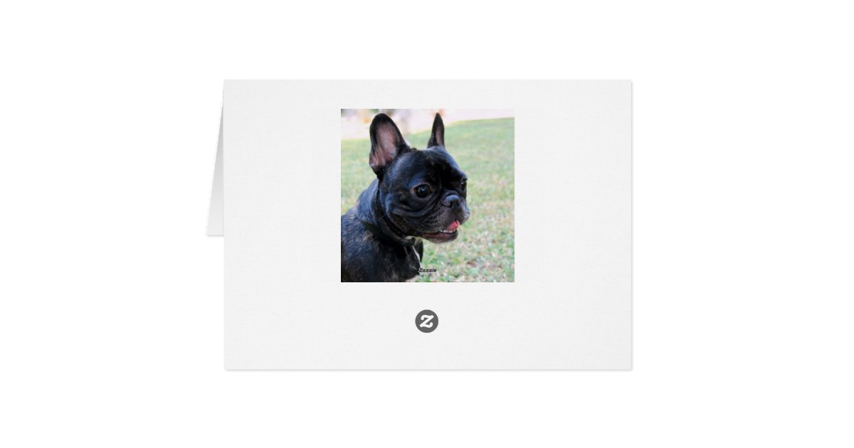 gilbert-the-french-bulldog-greeting-card-birthday-get-well-soon-or