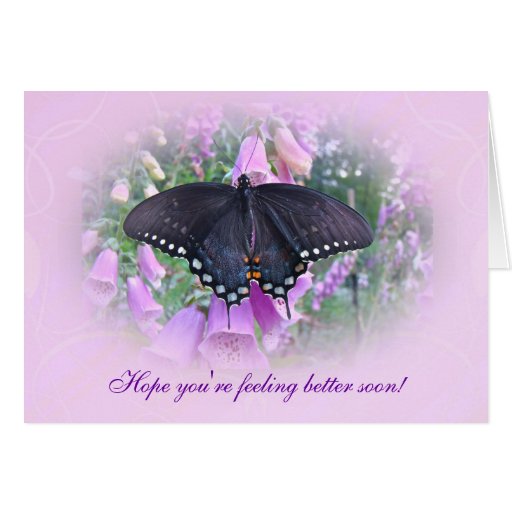 Feel Better Spicebush Swallowtail Butterfly Card Zazzle