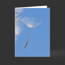 Feel free - flying Dandelion seed in blue sky cards