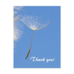 Feel free - Flying Dandelion seed Post Card