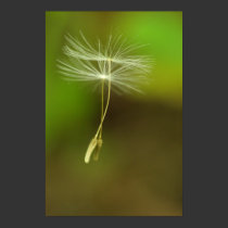 Feel free - flying Dandelion seeds posters