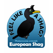 Feel Like a Shag?