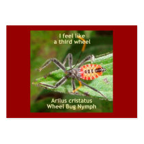 Feel Like A Third Wheel Bug Business Card