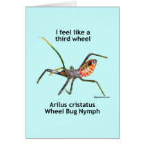 Feel Like A Third Wheel Bug Greeting Cards