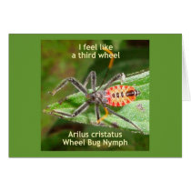 Feel Like A Third Wheel Bug Cards
