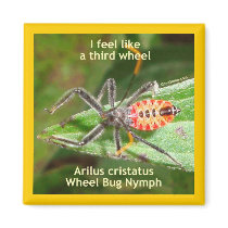 Feel Like A Third Wheel Bug Fridge Magnets