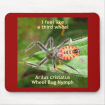 Feel Like A Third Wheel Bug Mouse Pad