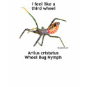 Feel Like A Third Wheel Bug Tee Shirts
