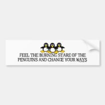 Feel The Burning Stare Of The Penguins Bumperstick bumper stickers