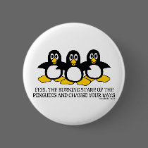 Feel The Burning Stare Of The Penguins