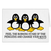 Feel The Burning Stare Of The Penguins Cards