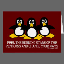 Feel The Burning Stare Of The Penguins