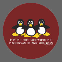 Feel The Burning Stare Of The Penguins