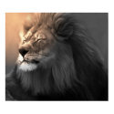Feel The White Light posters by wayofthewarrior Feel The White Light posters