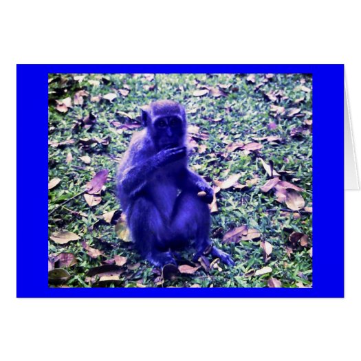 Feeling Blue card
