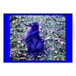 Feeling Blue Greeting Cards