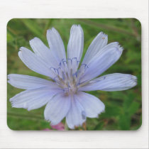 Feeling Blue Wildflower Mousepad mousepads