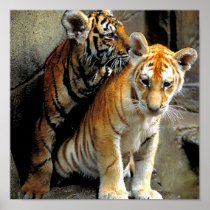 Feeling Frisky ? Posters