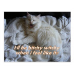 feeling like a witch POSTCARD postcards