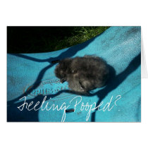 Feeling Pooped? cards by LazyLuxury Feeling Pooped? cards