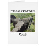 Feeling Sedimental Inside Limestone Geology Humor cards