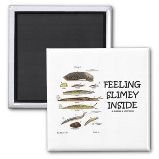 Feeling Slimey Inside (Slugs) Fridge Magnets
