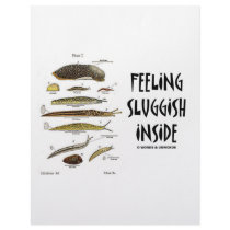 Feeling Sluggish Inside (Slugs) Letterhead Template