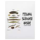 Feeling Sluggish Inside (Slugs) Letterhead Template