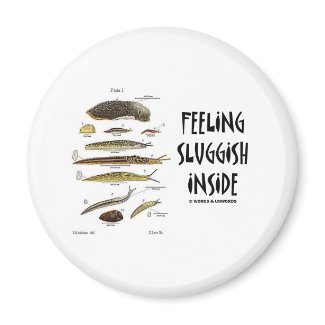Feeling Sluggish Inside (Slugs) magnet