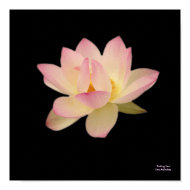 Feeling Zen- Poster print