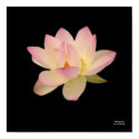 Feeling Zen- Poster posters by ZENCONNECTIONS Feeling Zen- Poster posters
