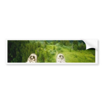 Feet First bumper stickers