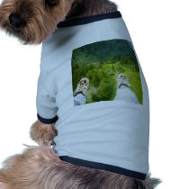 Feet First pet clothing