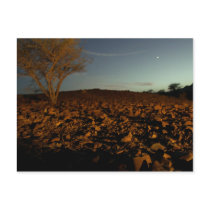 Feet to the Ground postcards by fortylovetv Feet to the Ground postcards