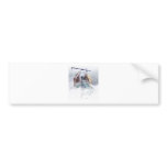 Felgar V9 Bumper Stickers
