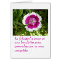 Felicidad cards