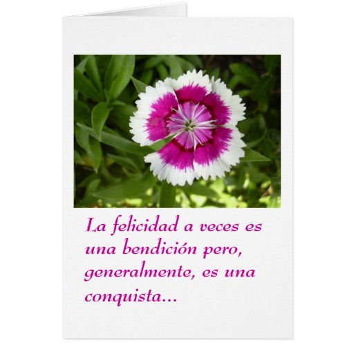 Felicidad Cards