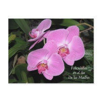 Felicidades dia de las Madres postcards by Soniel Felicidades dia de las Madres postcards