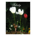 Felicity posters by lollypopgirrrl Felicity posters