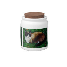 Feline Beauty Candy Dish