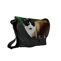 Feline Beauty Commuter Bags