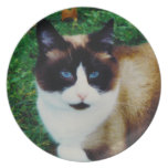 Feline Beauty plates