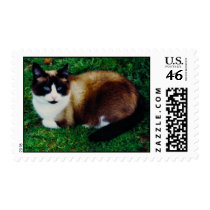 Feline Beauty Postage