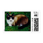 Feline Beauty postage