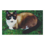 Feline Beauty stickers