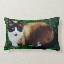 Feline Beauty Throw Pillow