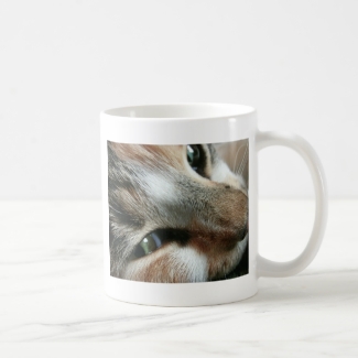 Feline Face