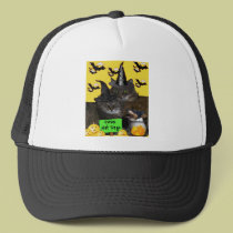 Feline Halloween Party hats