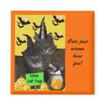 Feline Halloween Party Magnets